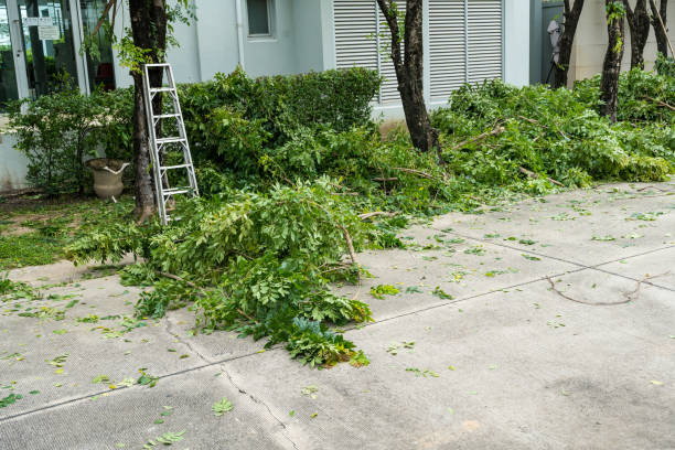 Best Lawn Mowing  in Greenport West, NY